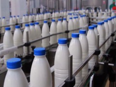 قیمت شیرخام 6400 تومان تصویب شد/ صادرات شیر خشک و دام زنده آزاد شد