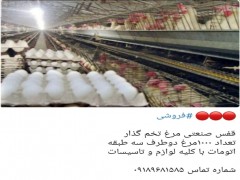 قفس صنعتی مرغ تخمگذار