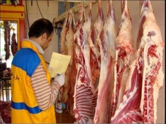 تأیید عرضه گوشت اسب و الاغ / میزان عرضه نگران کننده نیست