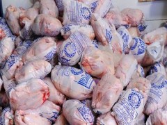 توزیع مرغ منجمد برای ایجاد تعادل عرضه و تقاضا