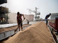 ورود ده‌ها کشتی نهاده خوراک دام خبر خوب برای مرغداران و دامداران